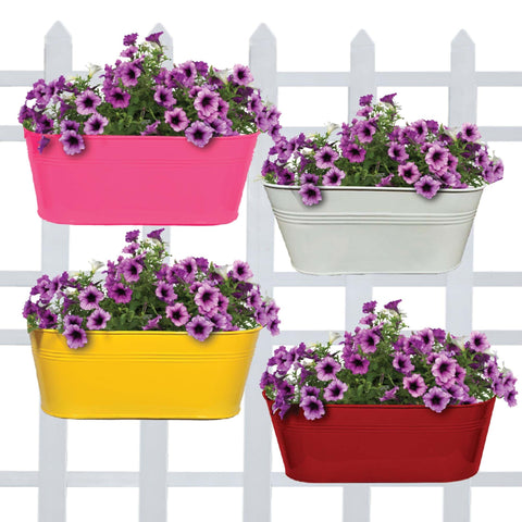 TrustBasket Offers And Promotions - Oval Railing Planters (Yellow, Red, Ivory, Magenta) -Set of 4