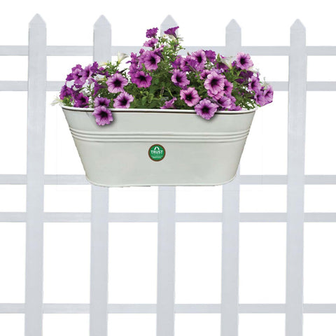TrustBasket Offers And Promotions - Oval railing planter - Plain Ivory