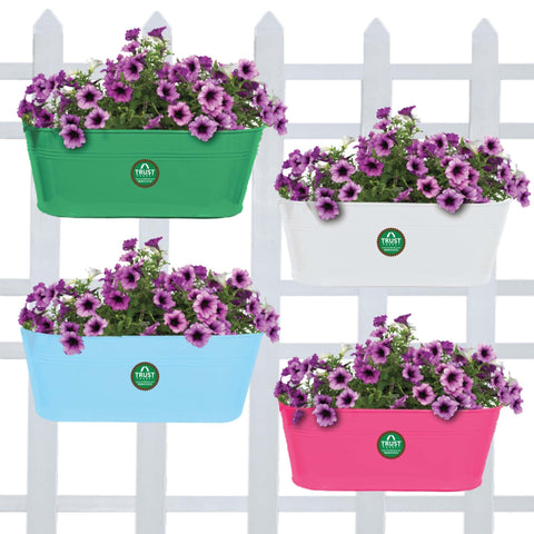 TrustBasket Offers And Promotions - Oval Railing Planters - (Ivory,Green,Teal,Magenta) - Set of 4