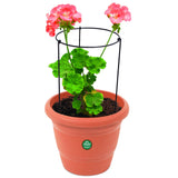 Garden Trellis Plant Support - Set of 3