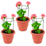 Garden Trellis Plant Support - Set of 3