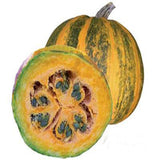 Pumpkin seeds (Hybrid)