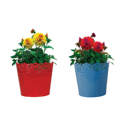 Products - Set Of 2 - Half Lace finish Red and Teal