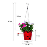 TrustBasket Dotted Round Planter with Hanging Wire Rope