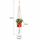 TrustBasket Round Dotted Planter with Contemporary Hanger