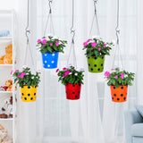 TrustBasket Dotted Round Planter with Hanging Wire Rope