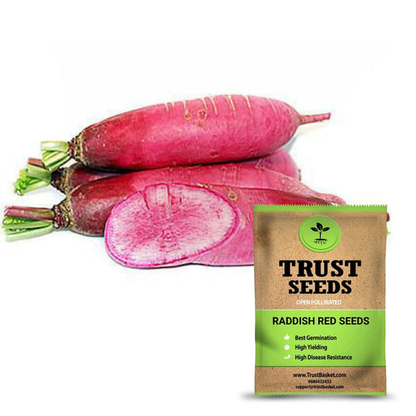 Raddish red seeds (OP)