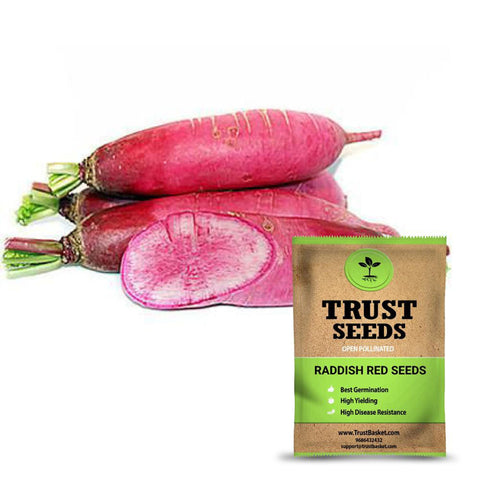 Raddish red seeds (OP)