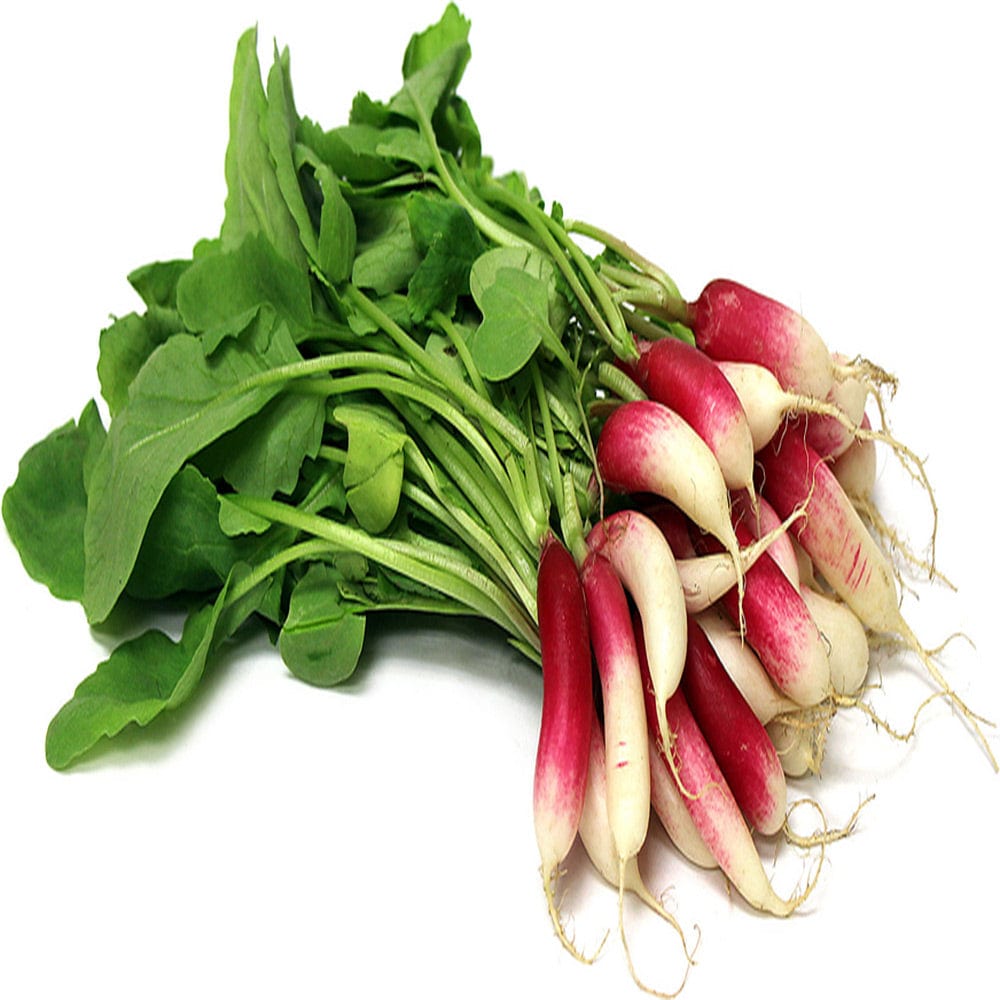 home & garden > plants > seeds – TrustBasket