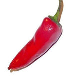 Pepper red seeds (Hybrid)