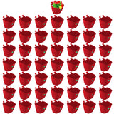 VERTICAL GARDENING POUCHES(Small) - Red
