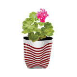 Premium Colorful Stripe Grow Bag - Set of 10 (20*20*35 cm)