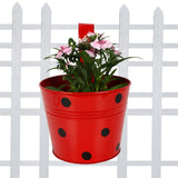 Railing Planters Round Dotted (Blue, Orange, Red & Green) - Set of 4