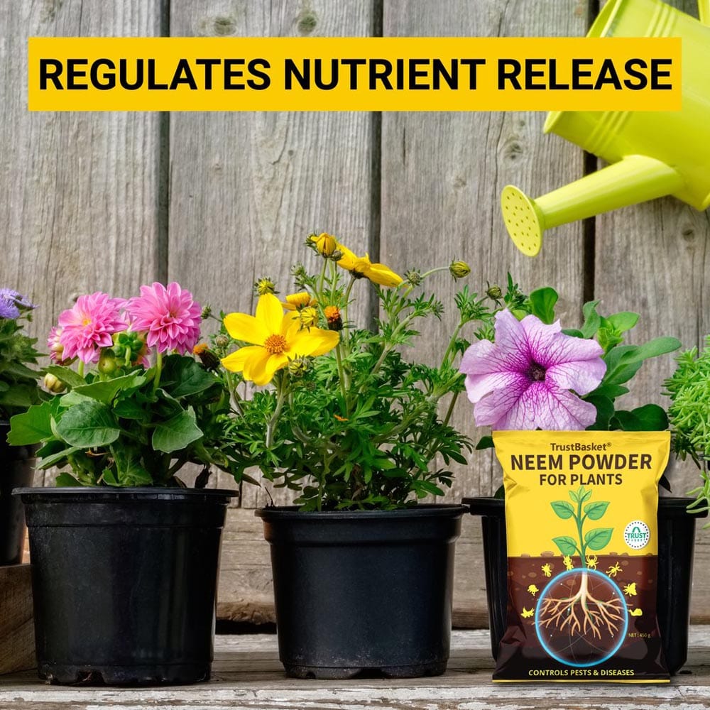 Neem Powder for Plants - 450 Gms – TrustBasket