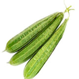 Ridge gourd seeds (Hybrid)