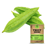 Ridge gourd seeds (OP)