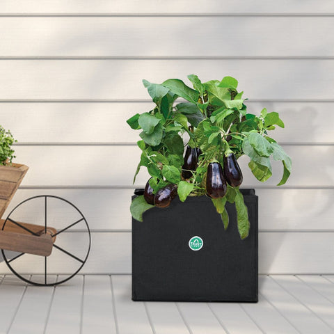 LARGE SIZE GARDEN POTS & PLANTERS ONLINE - Riona Square Felt Grow bag