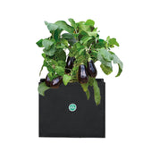 Riona Square Felt Grow bag