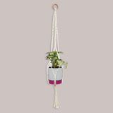 TrustBasket Macrame Hanger