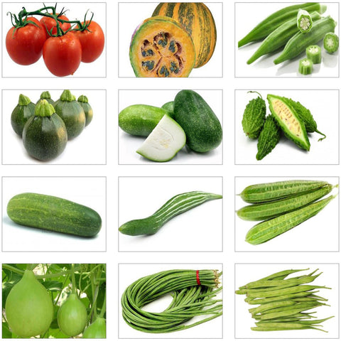 Products - Summer Vegetable Seeds Kit (Set of 12 Packets)