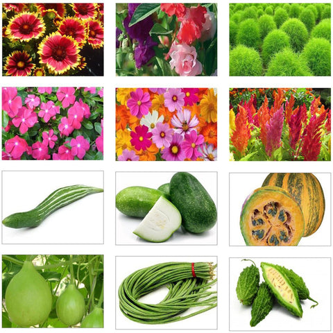 All Flower seeds - Summer Vegetable and Flower Seeds Kit (Set of 12 Packets)