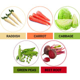 TrustBasket Hybrid Vegetable Seeds - Set of 5