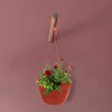 Fern Hanging Basket (Set of 3)