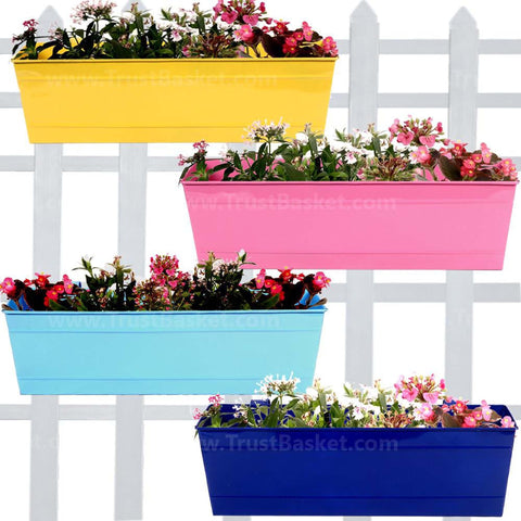 Rectangular Planters Online India - Rectangular Railing Planter -Yellow, Blue,Teal And Magenta (18 Inch) - Set of 4