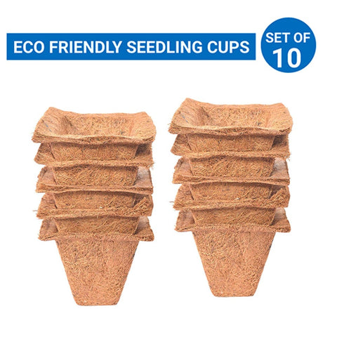 Best Indoor Plant Pots Online - Coir Seedling Cups - 4 inches (Set of 10)