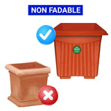 UV Treated  Square Plastic Planter (10 inches)