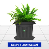 TrustBasket UV Treated 4.5 inch Square Bottom Tray(Plate/Saucer) Suitable for 6 inch Square Plastic Pot