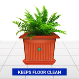 TrustBasket UV Treated 4.5 inch Square Bottom Tray(Plate/Saucer) Suitable for 6 inch Square Plastic Pot
