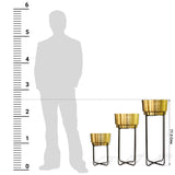 Creata Planter (Set of 3)