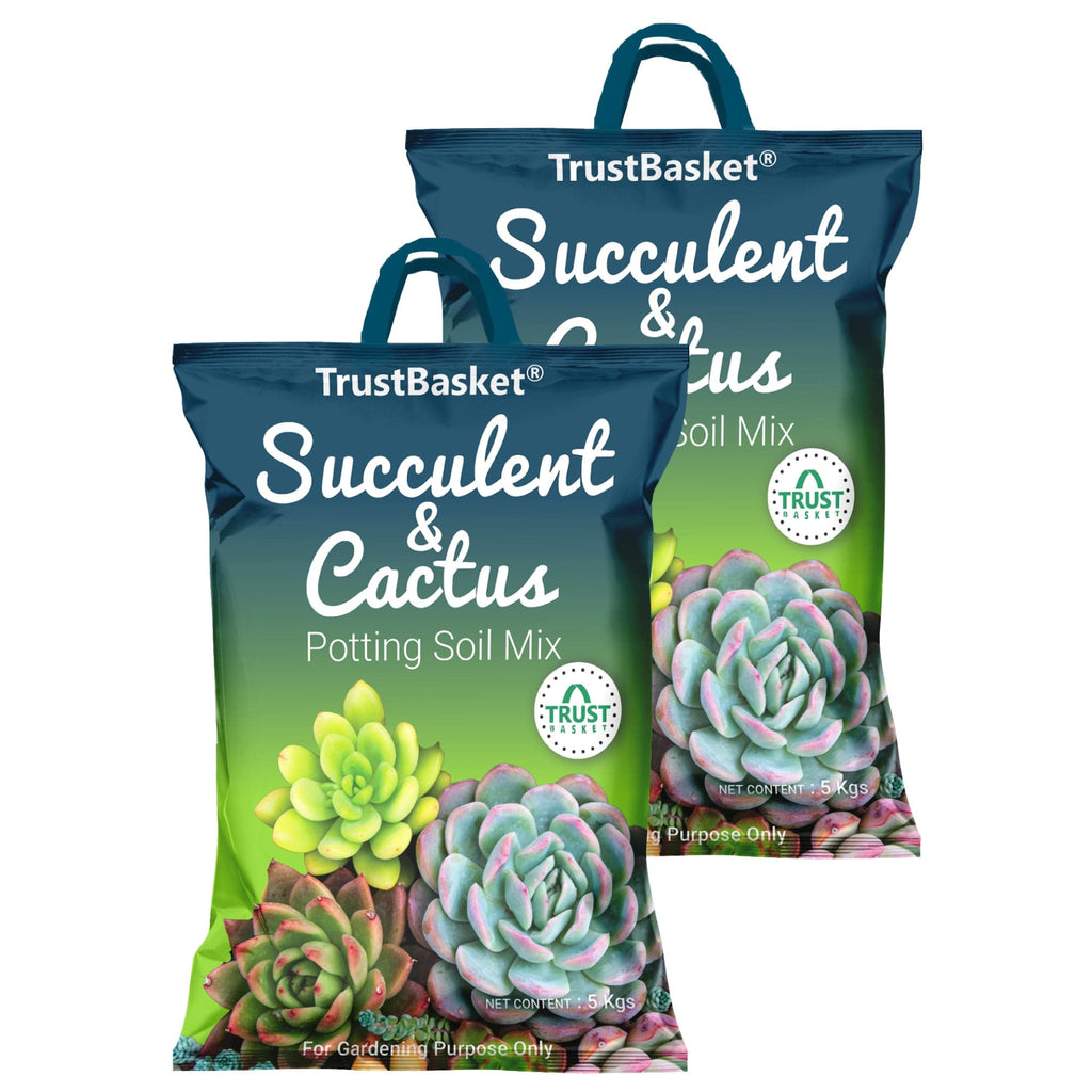Succulent and Cactus Potting Soil Mix – TrustBasket