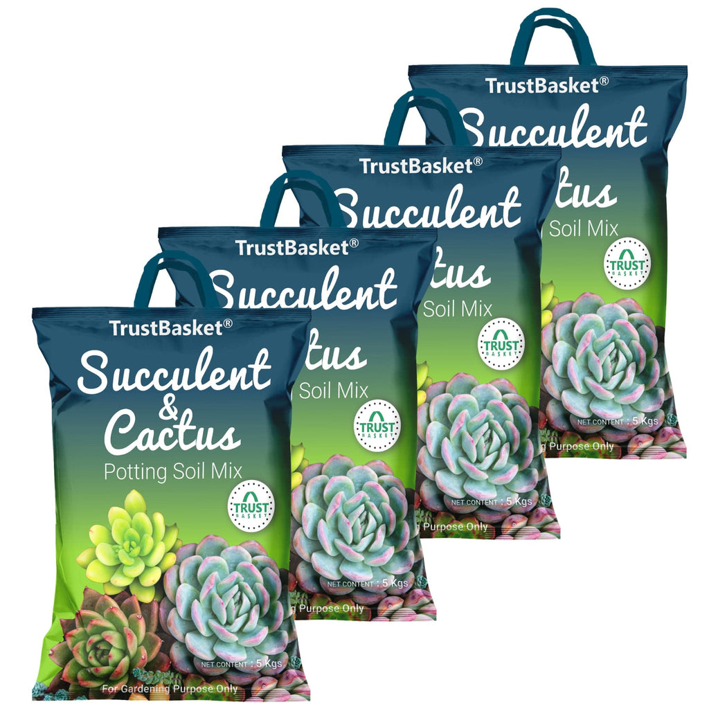 Succulent and Cactus Potting Soil Mix – TrustBasket