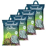 Succulent and Cactus Potting Soil Mix