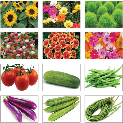 Seeds Combo Kits - Summer Vegetable and Flower Seeds Kit (Set of 12 Packets)