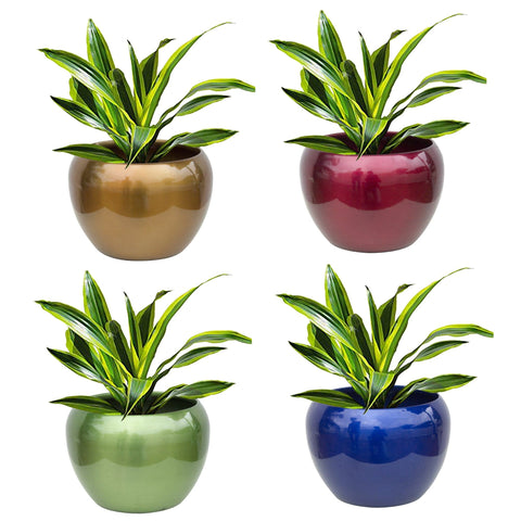 Sunshine Planters Mixed Colours (Set of 4)