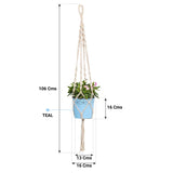 TrustBasket Lace Planter with Contemporary Hanger