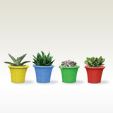SMALL POTS AND PLANTERS ONLINE - Tiny Plastic Planters for Small Plants Like Succulents & Lucky Bamboo (Set Of 4)