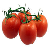 Tomato round seeds (OP)