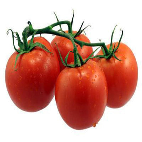 Tomato round seeds (Hybrid)