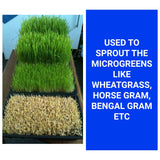 TrustBasket Wheat Grass Trays