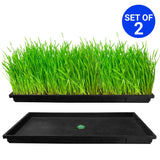 TrustBasket Wheat Grass Trays