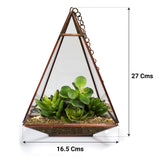 Triangular Tower Terrarium