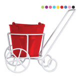 Metal Trolley with assorted color bucket planter
