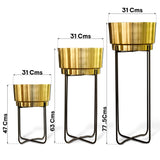 Creata Planter (Set of 3)