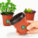 Nursery Plastic Pot 5 Inch (set of 20 Pots) - Brown