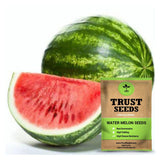 Water melon seeds (OP)