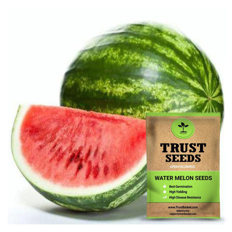 Buy Best Water melon Plant Seeds Online - Water melon seeds (OP)